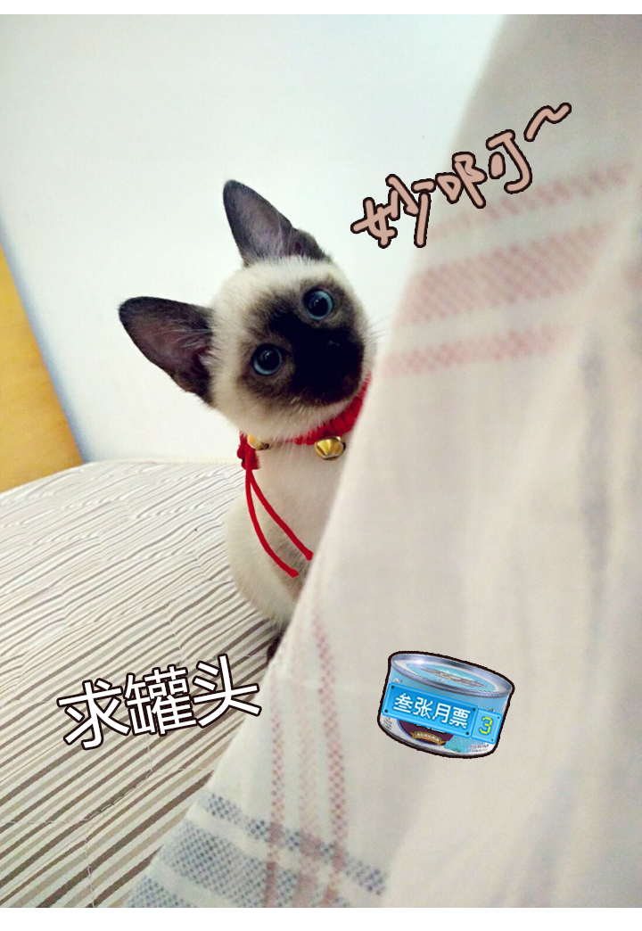 第 34 页