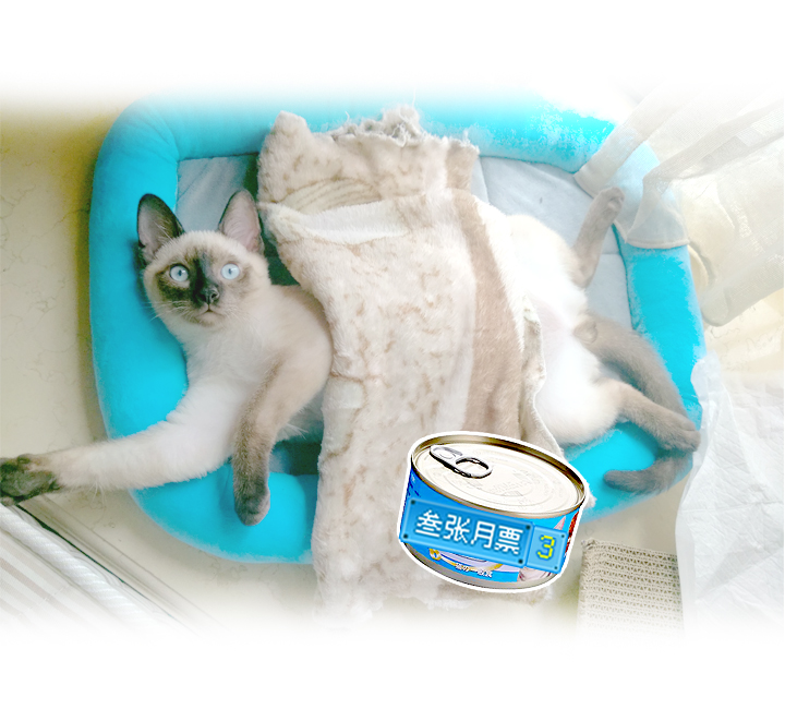 第 34 页