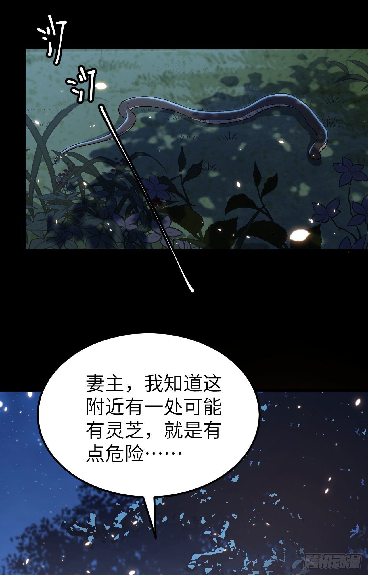 第 41 页