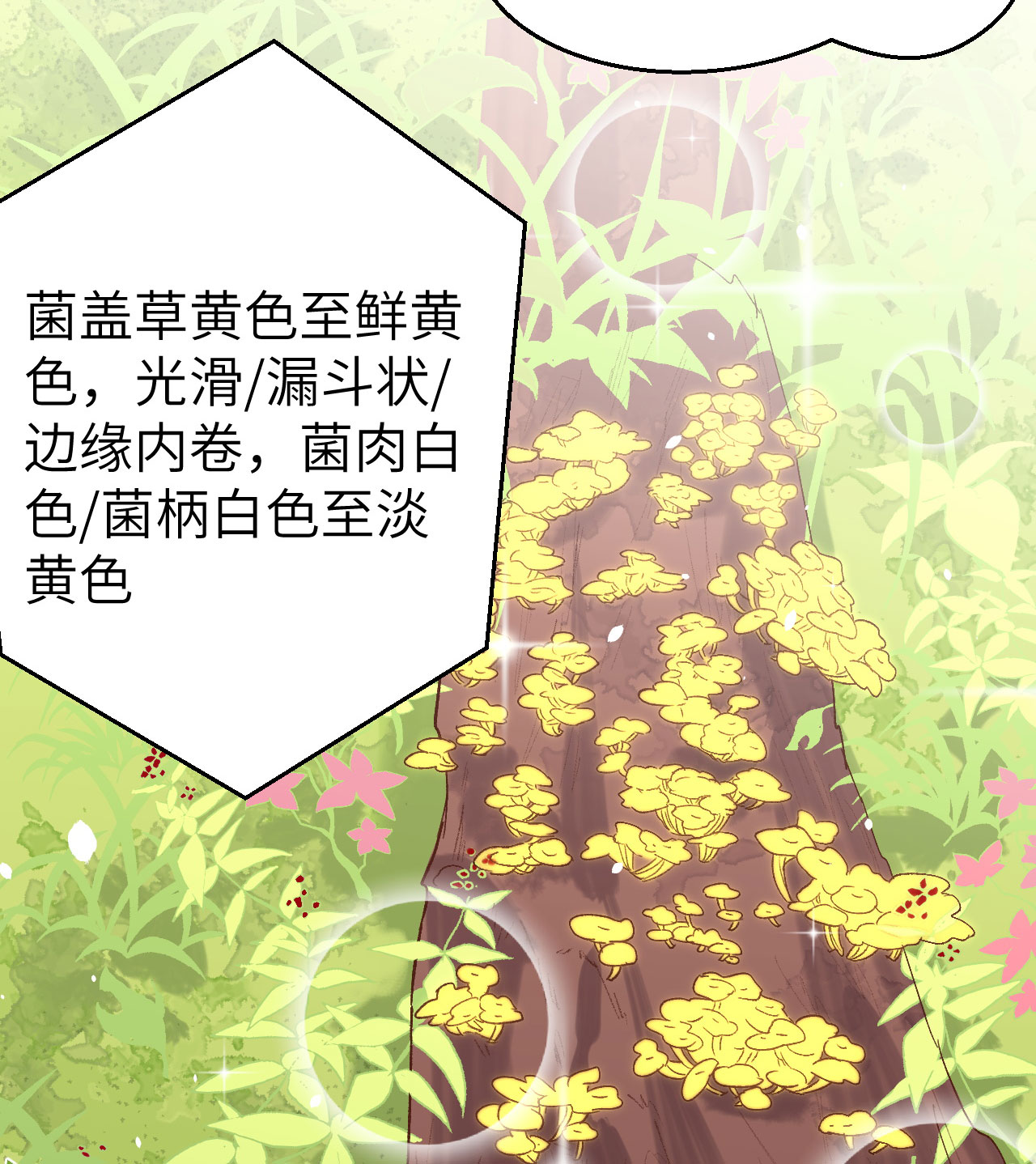 第 65 页