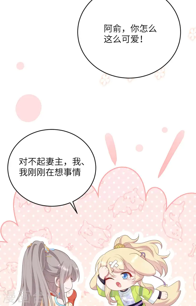 第 51 页