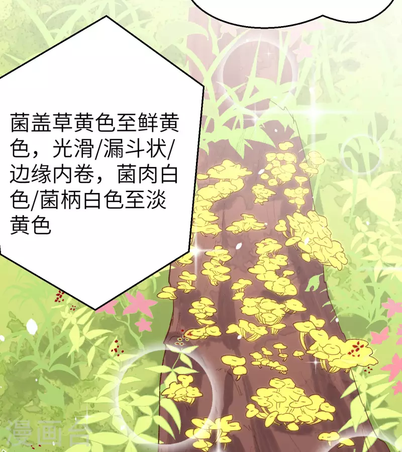 第 66 页