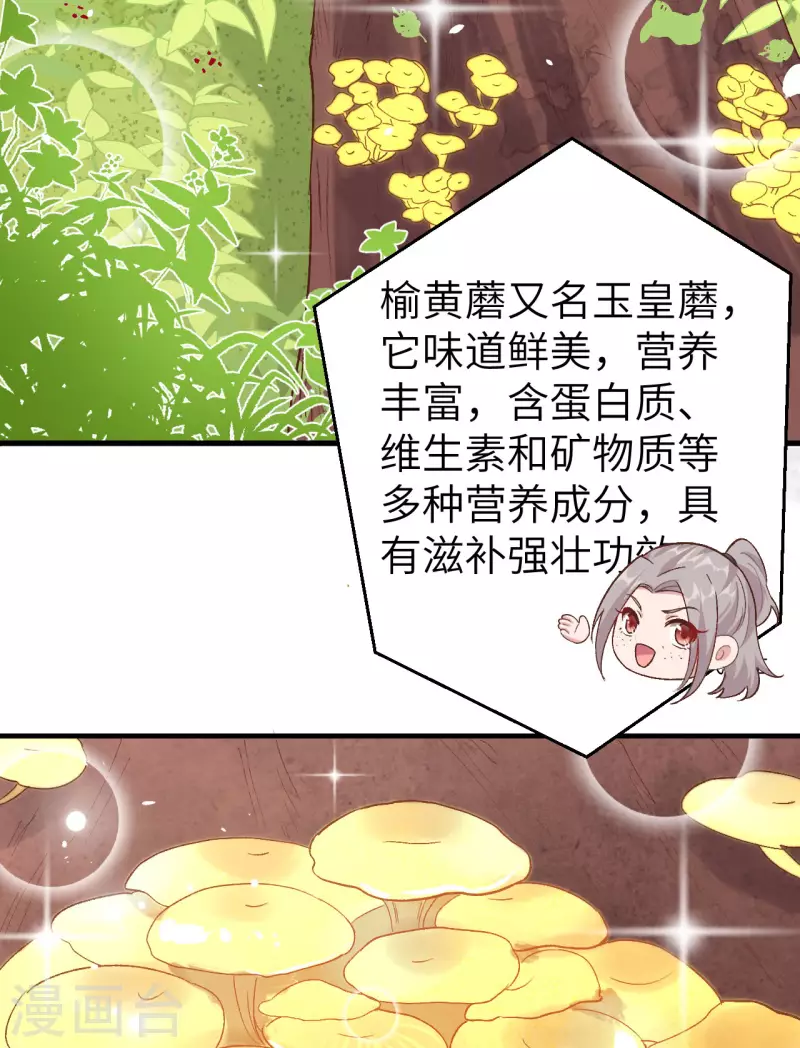 第 68 页