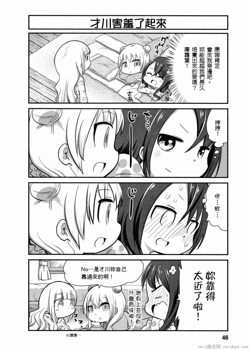 第 4 页