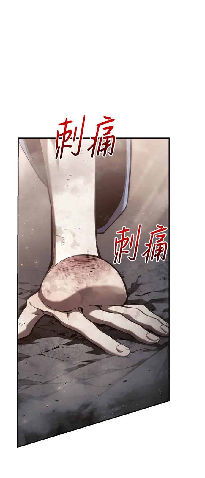 第 113 页
