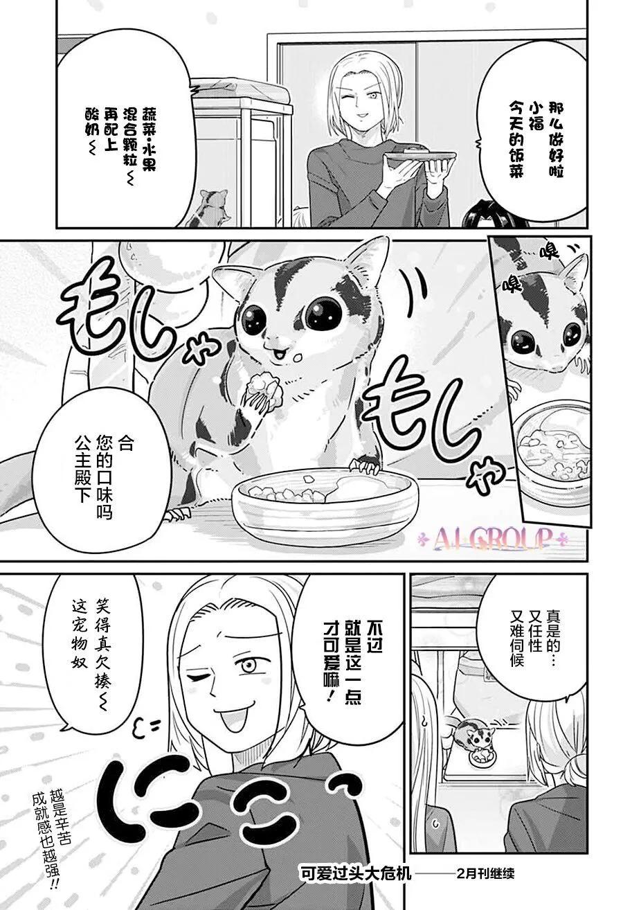 第 16 页