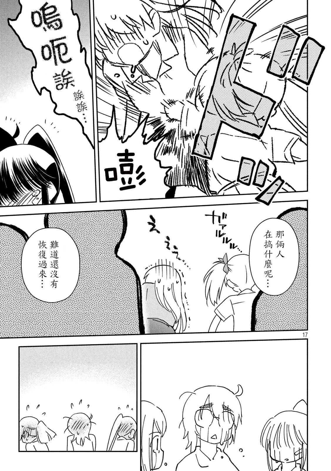 第 17 页