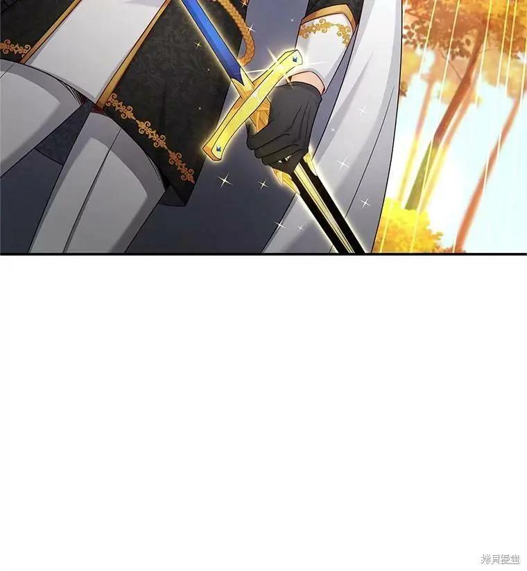 第 95 页