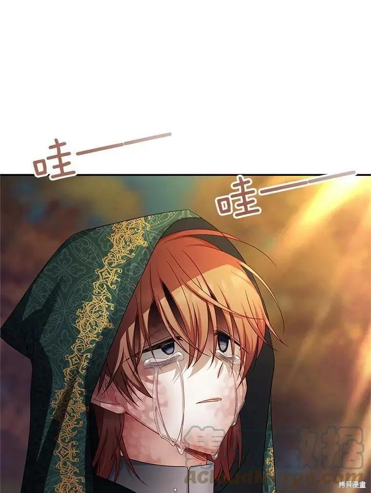 第 101 页
