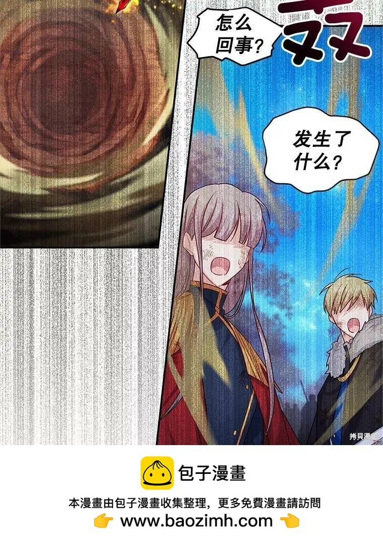 第 100 页