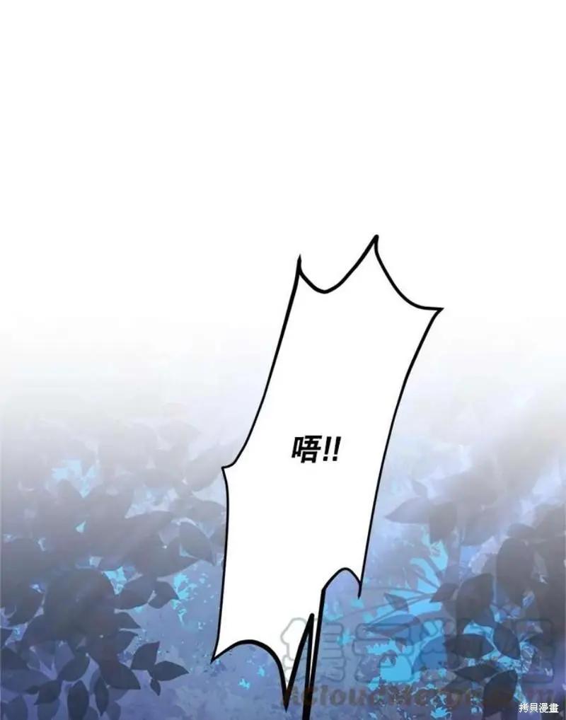 第 117 页