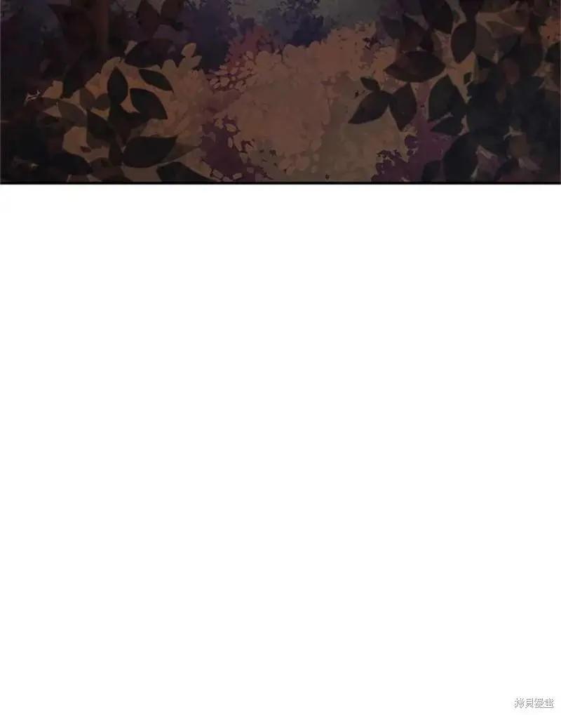 第 119 页