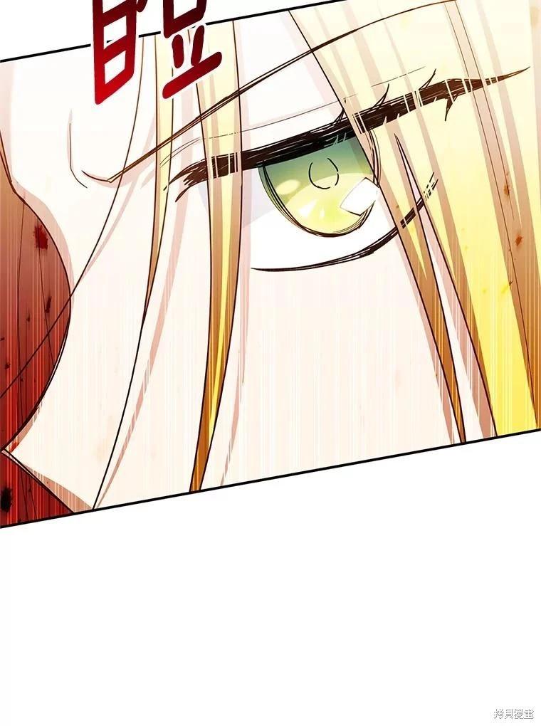 第 113 页