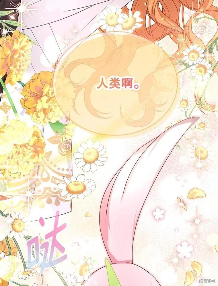 第 102 页