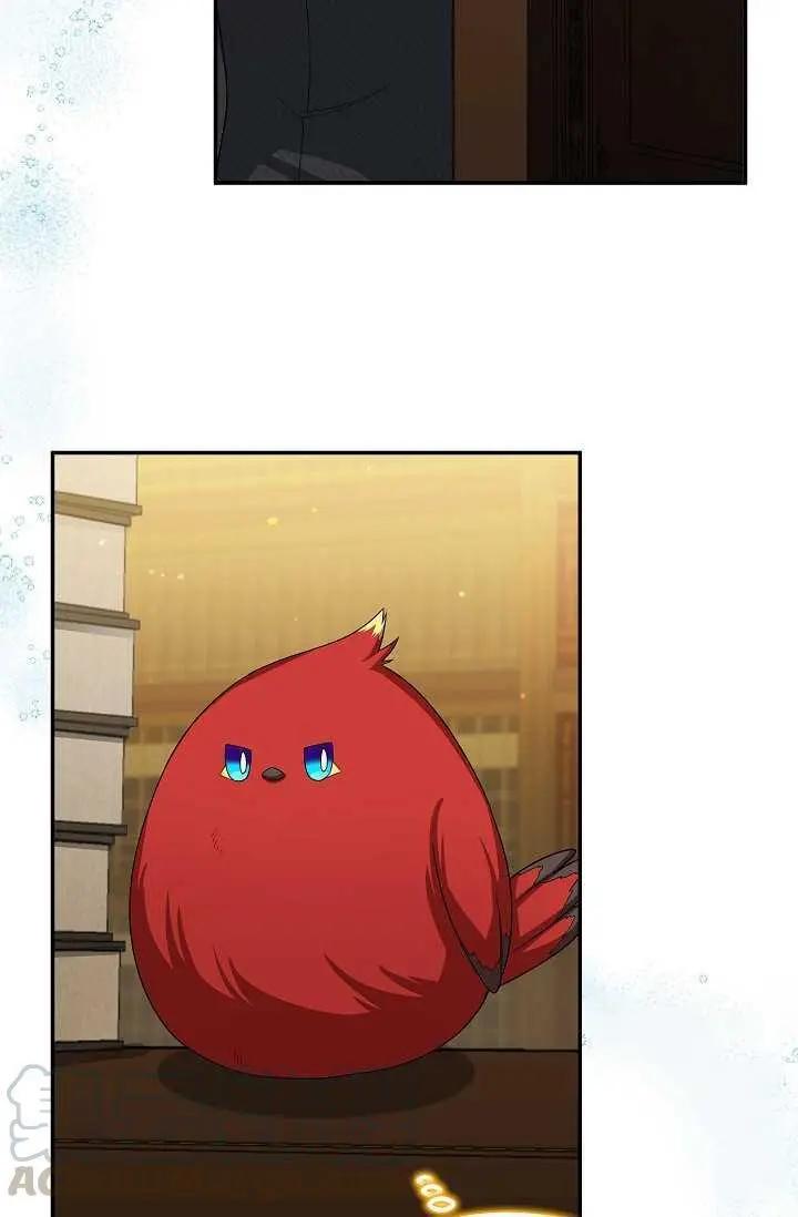 第 69 页