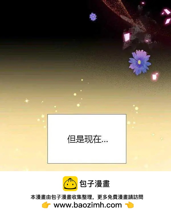 第 100 页