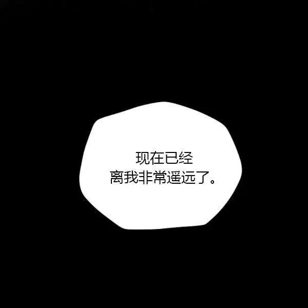 第 113 页