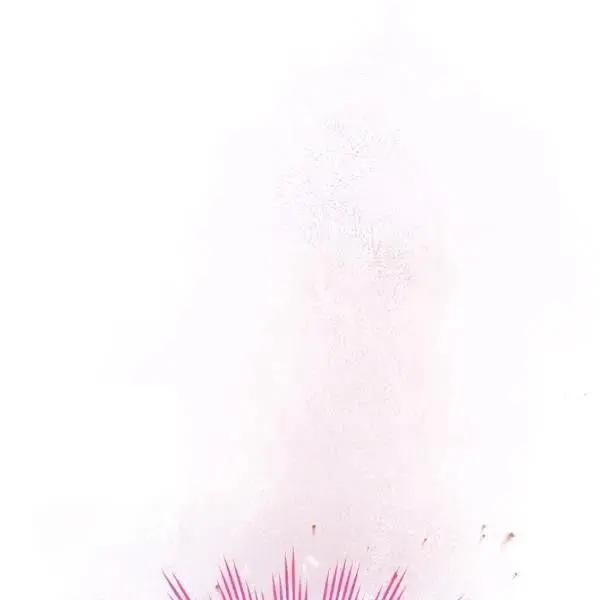 第 146 页