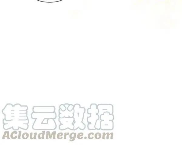 第 113 页