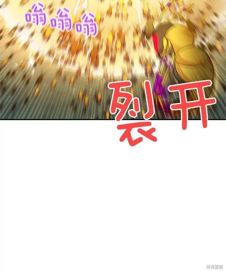 第 106 页