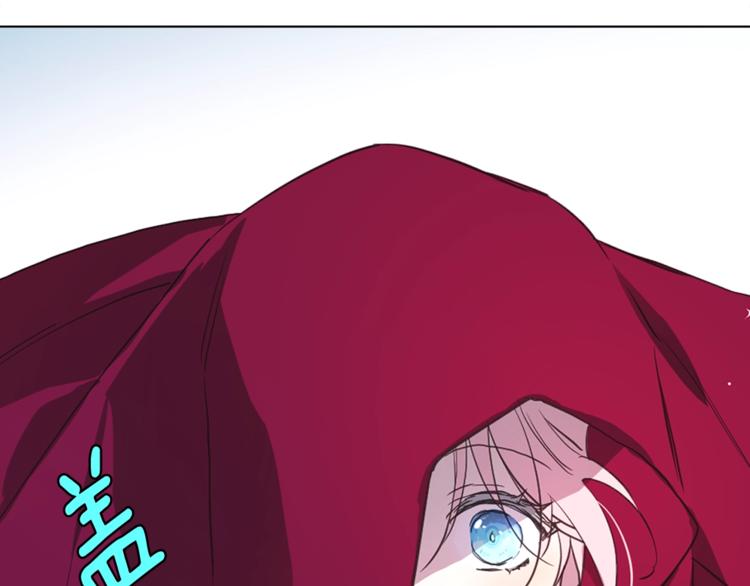 第 110 页