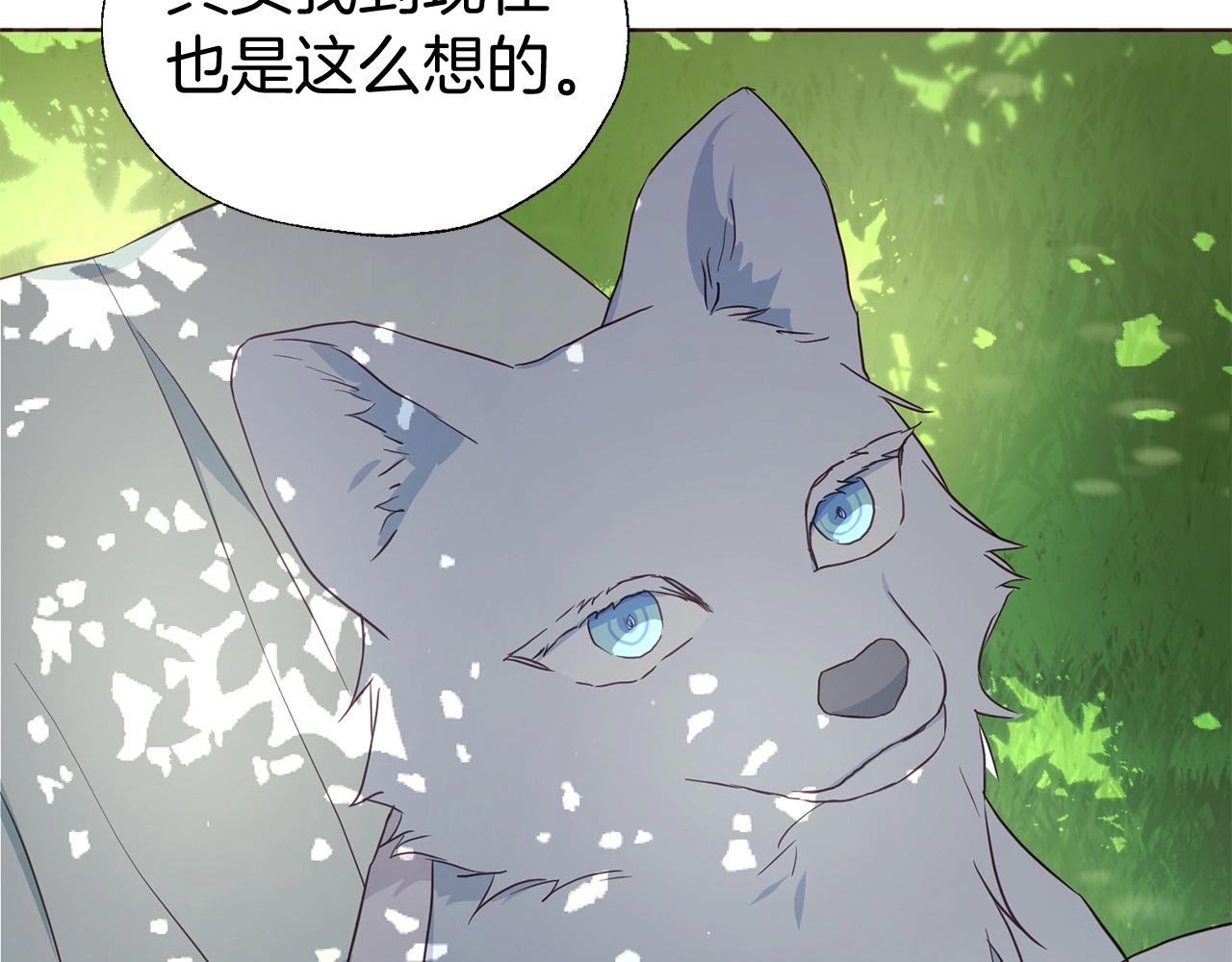 第 120 页