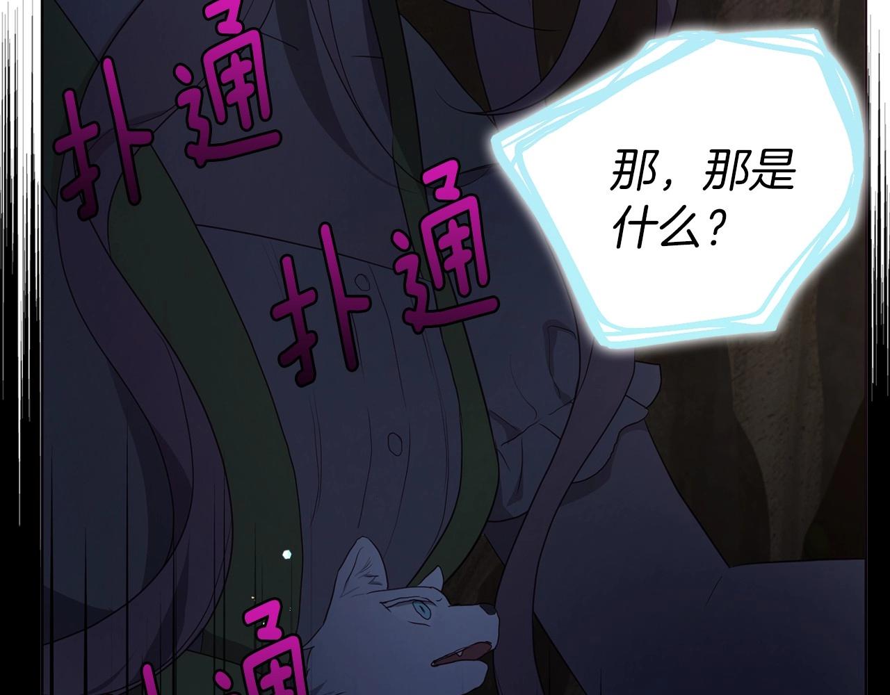 第 107 页