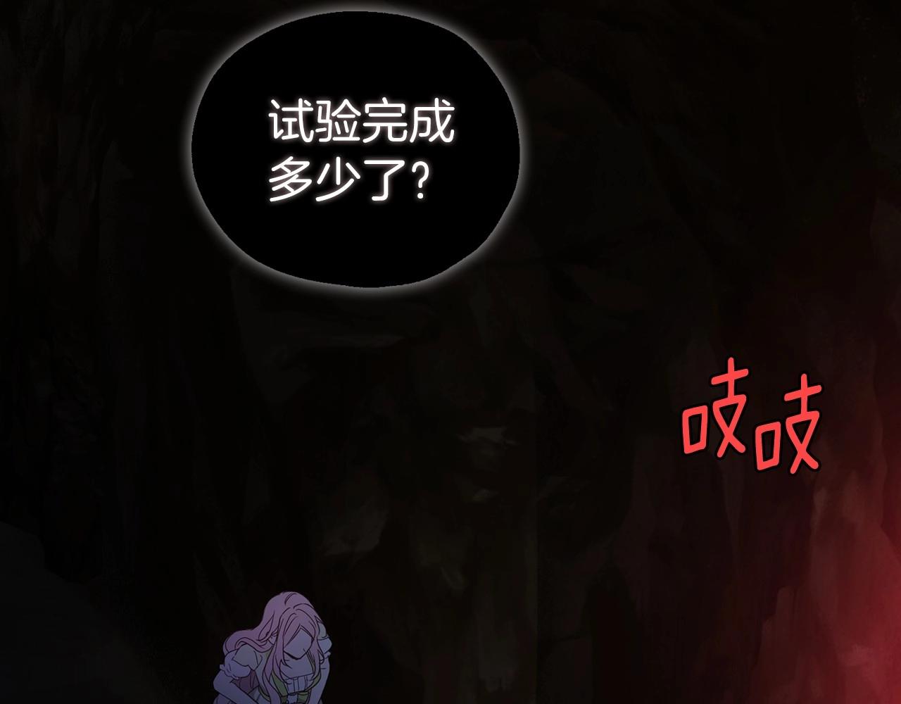 第 121 页