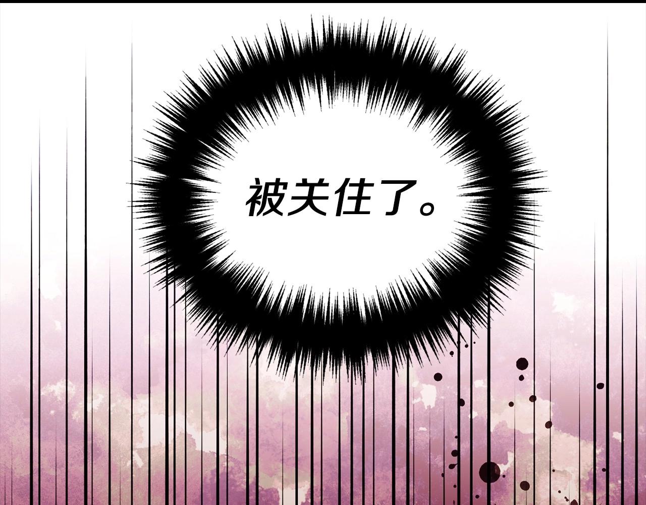 第 146 页