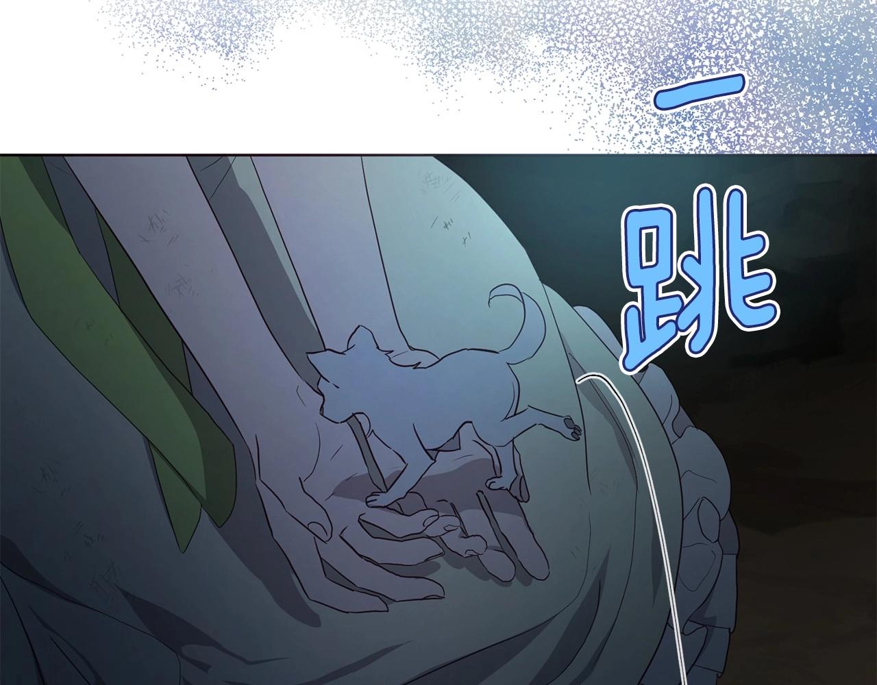 第 51 页