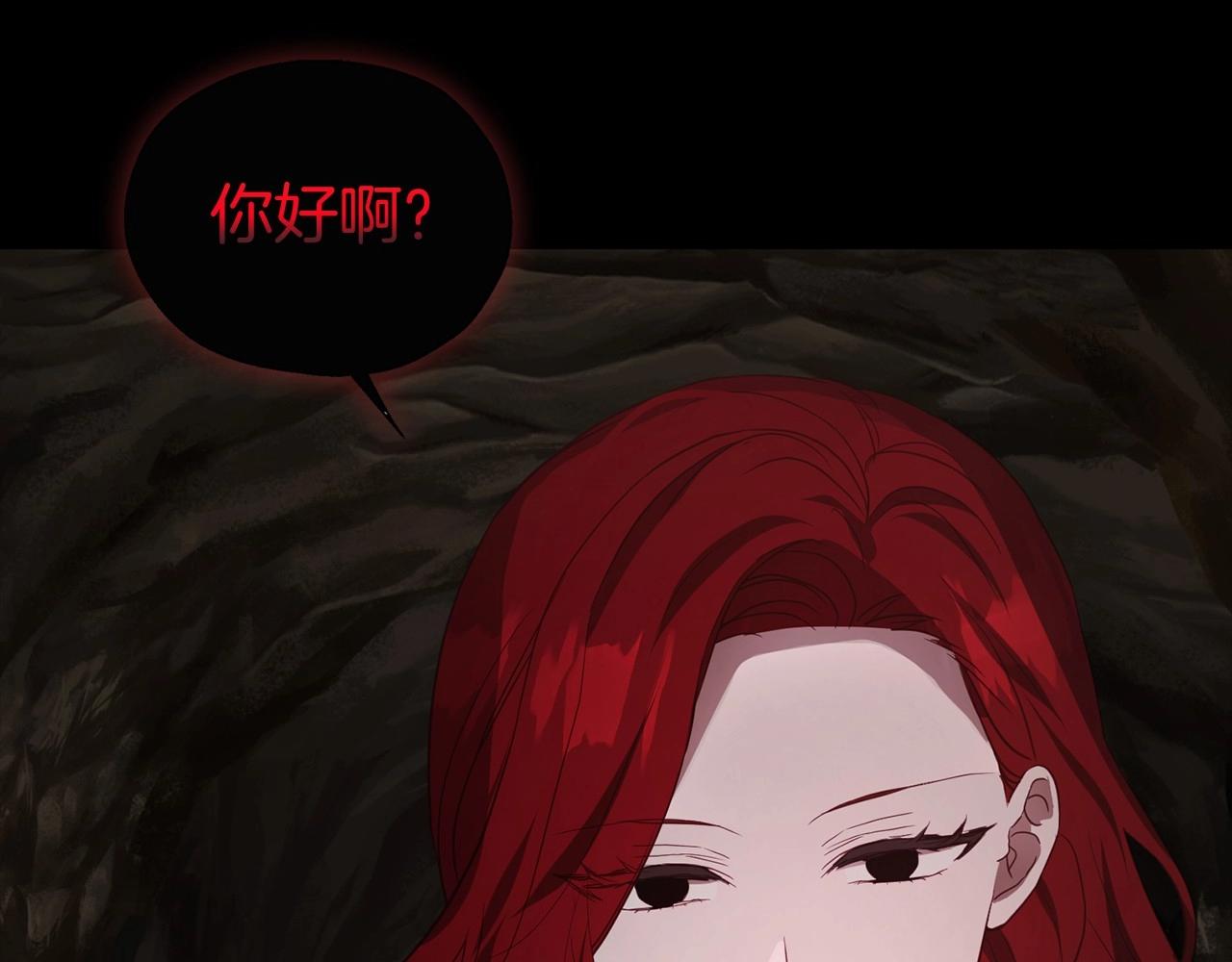 第 146 页