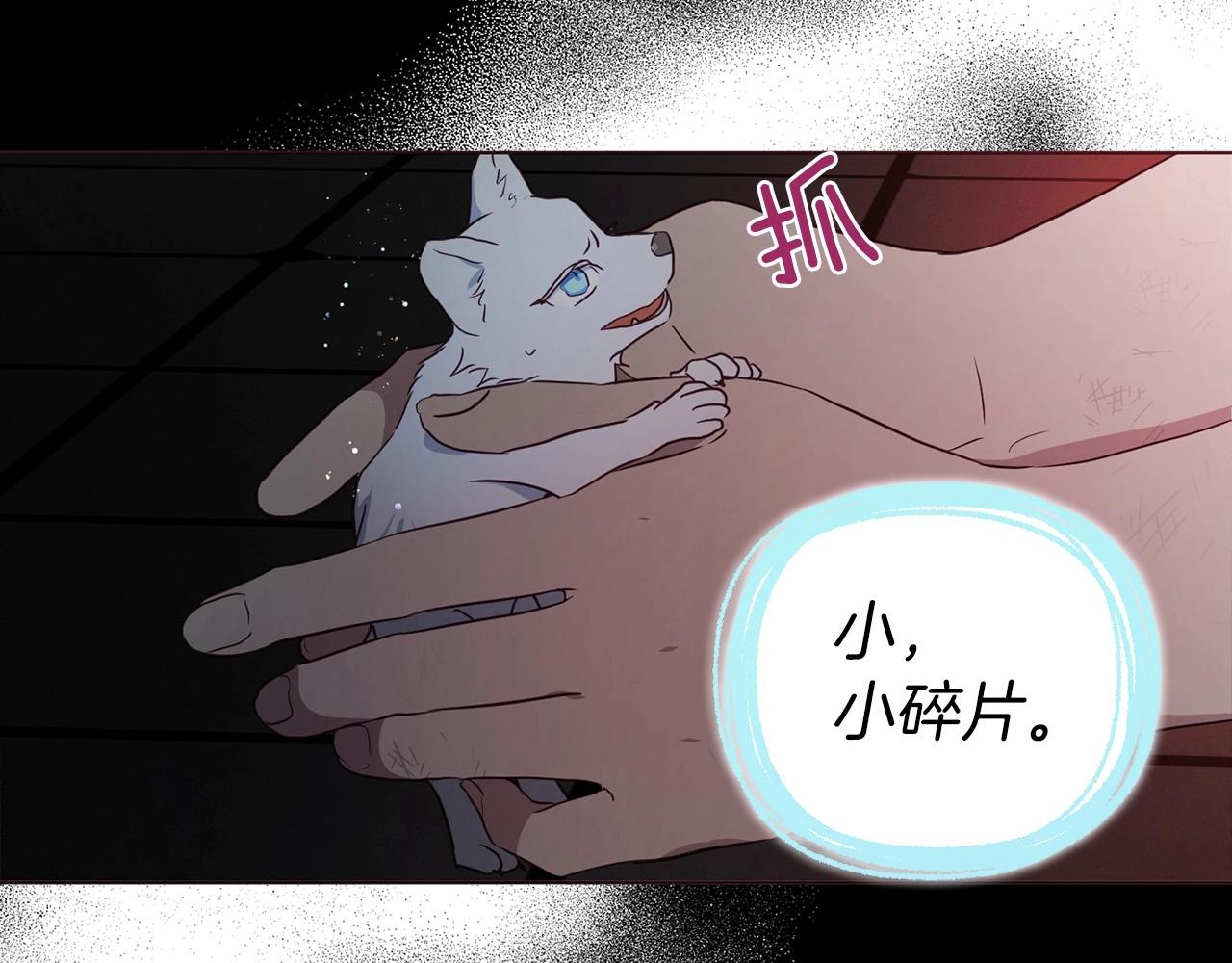 第 121 页