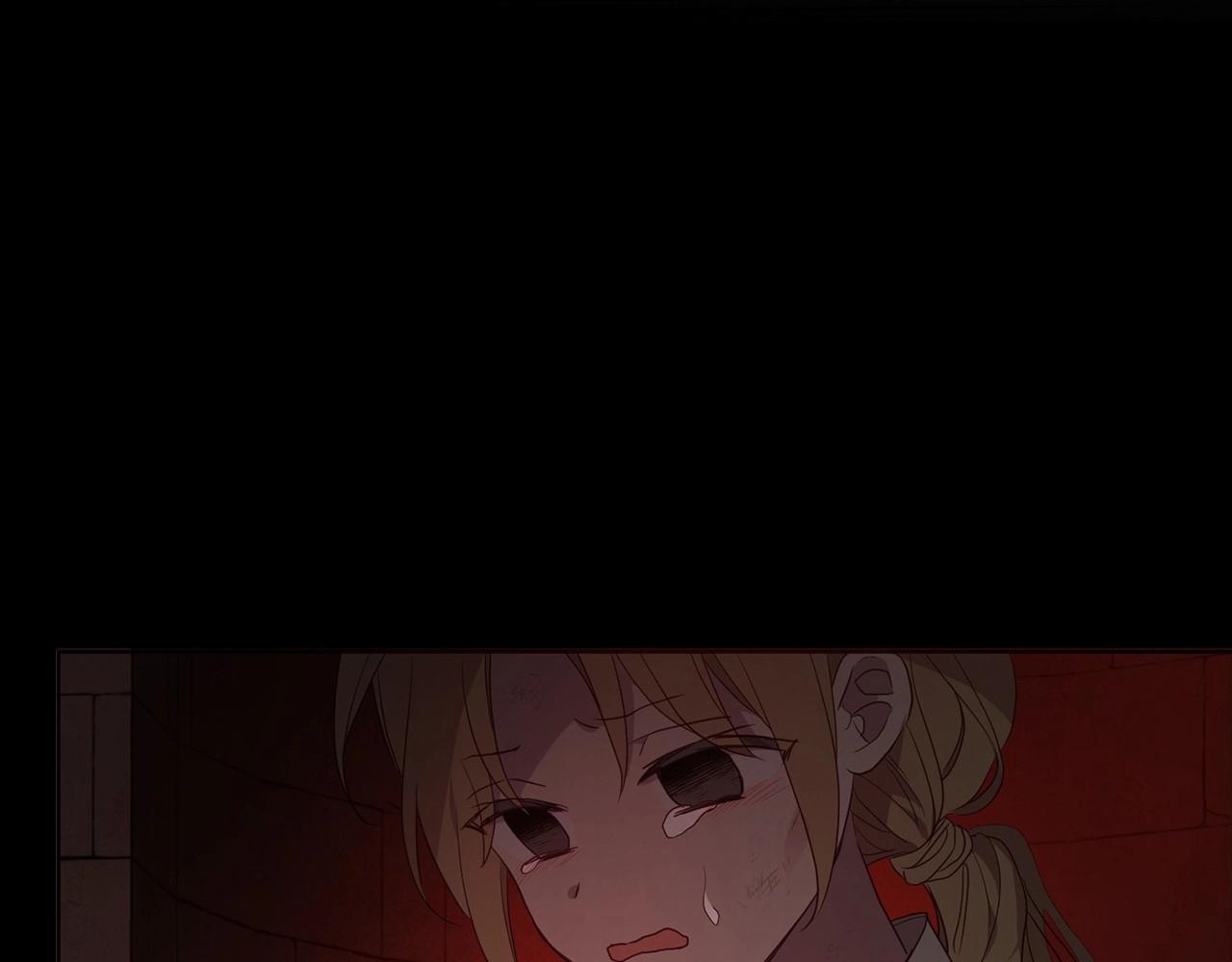 第 135 页