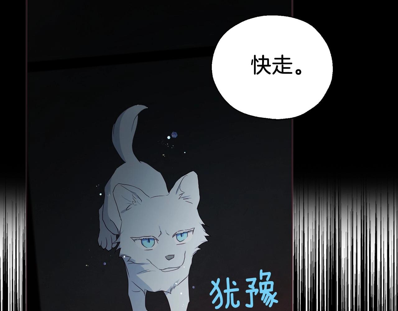 第 146 页