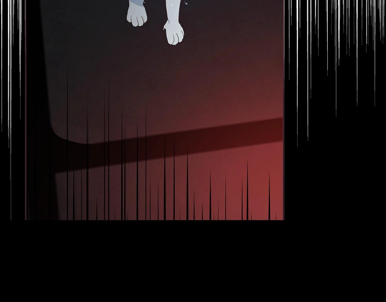 第 147 页