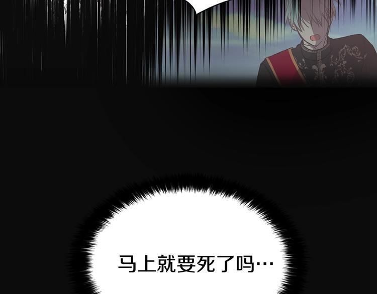 第 111 页
