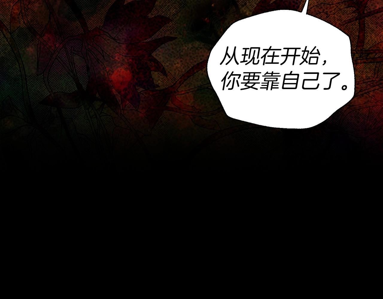 第 101 页