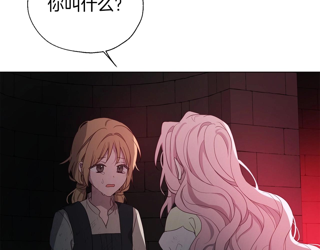 第 117 页