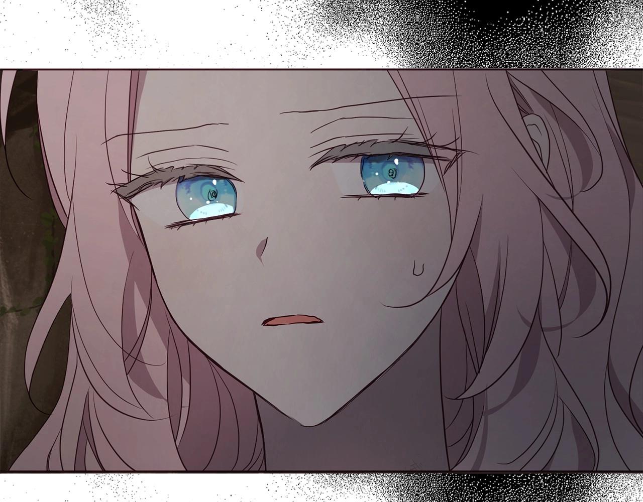 第 112 页