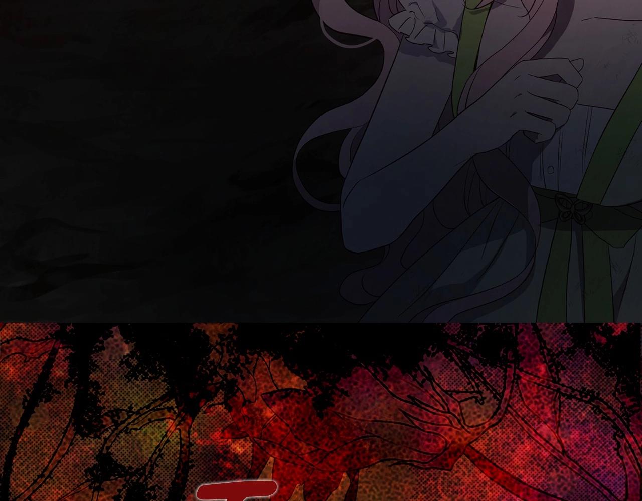 第 135 页