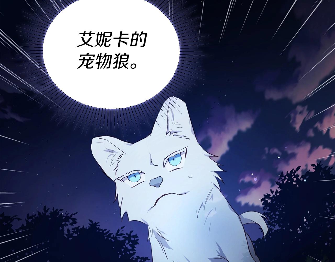 第 116 页