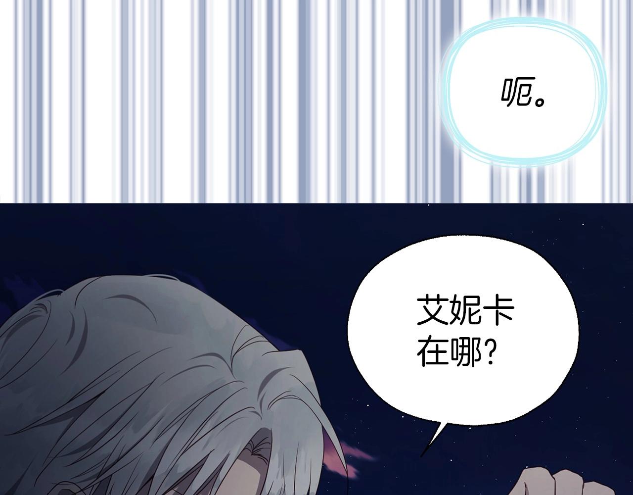 第 121 页