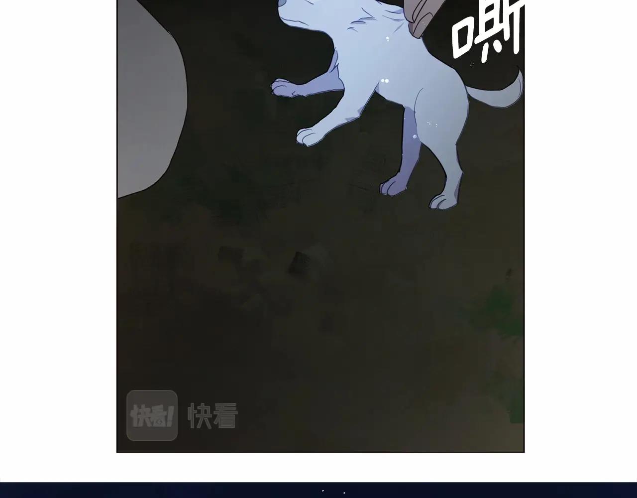 第 126 页