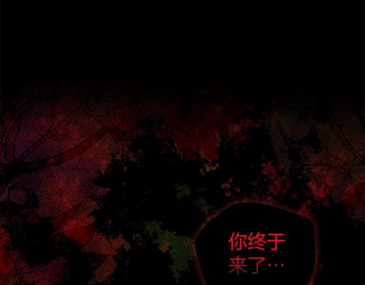 第 101 页