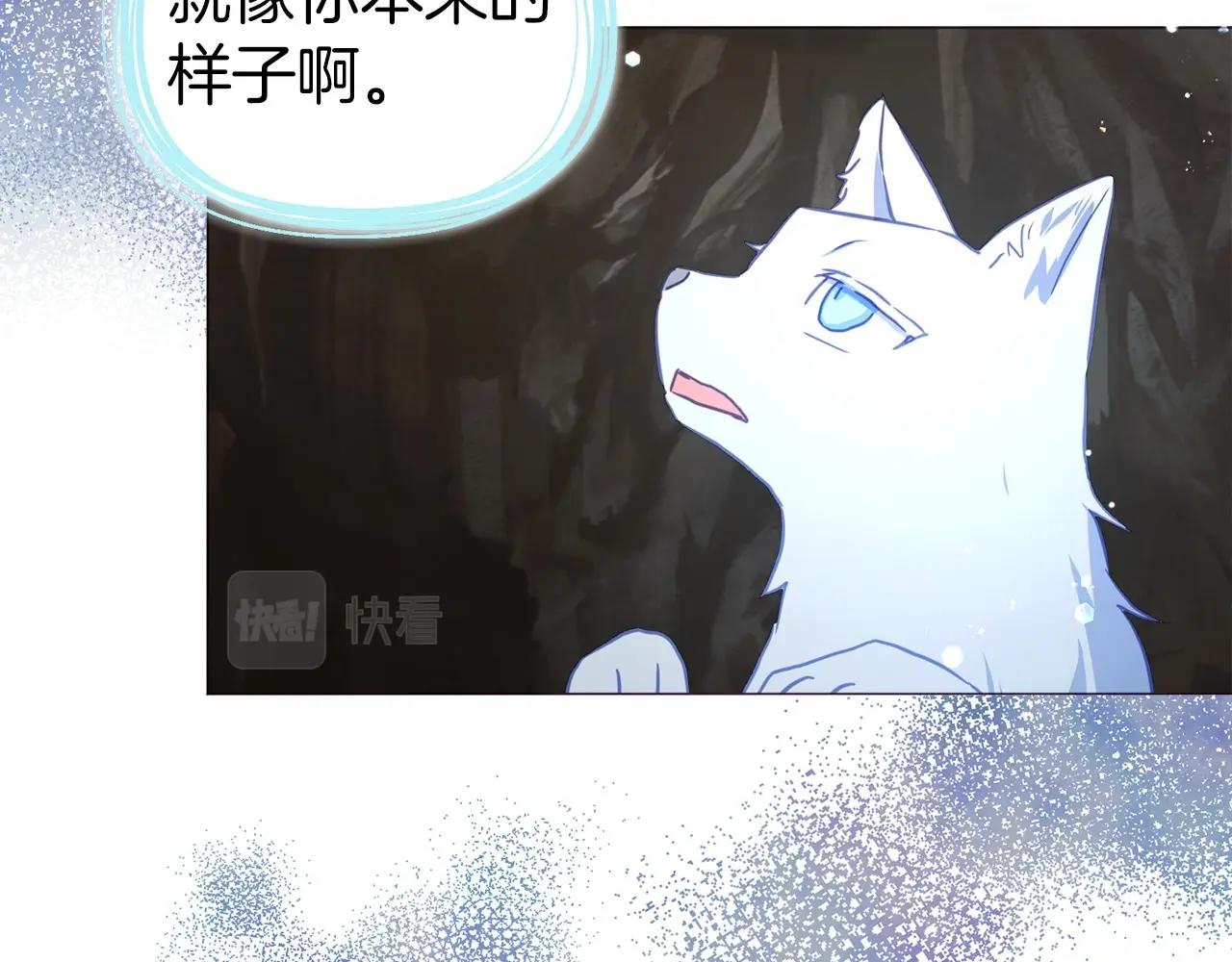第 123 页