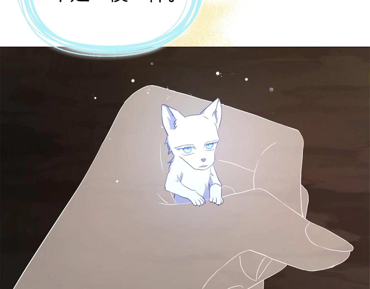 第 127 页
