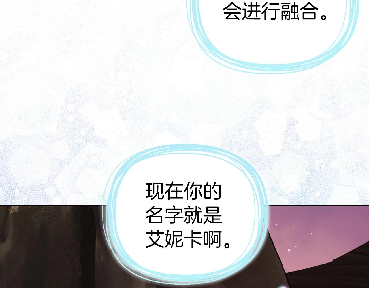 第 135 页