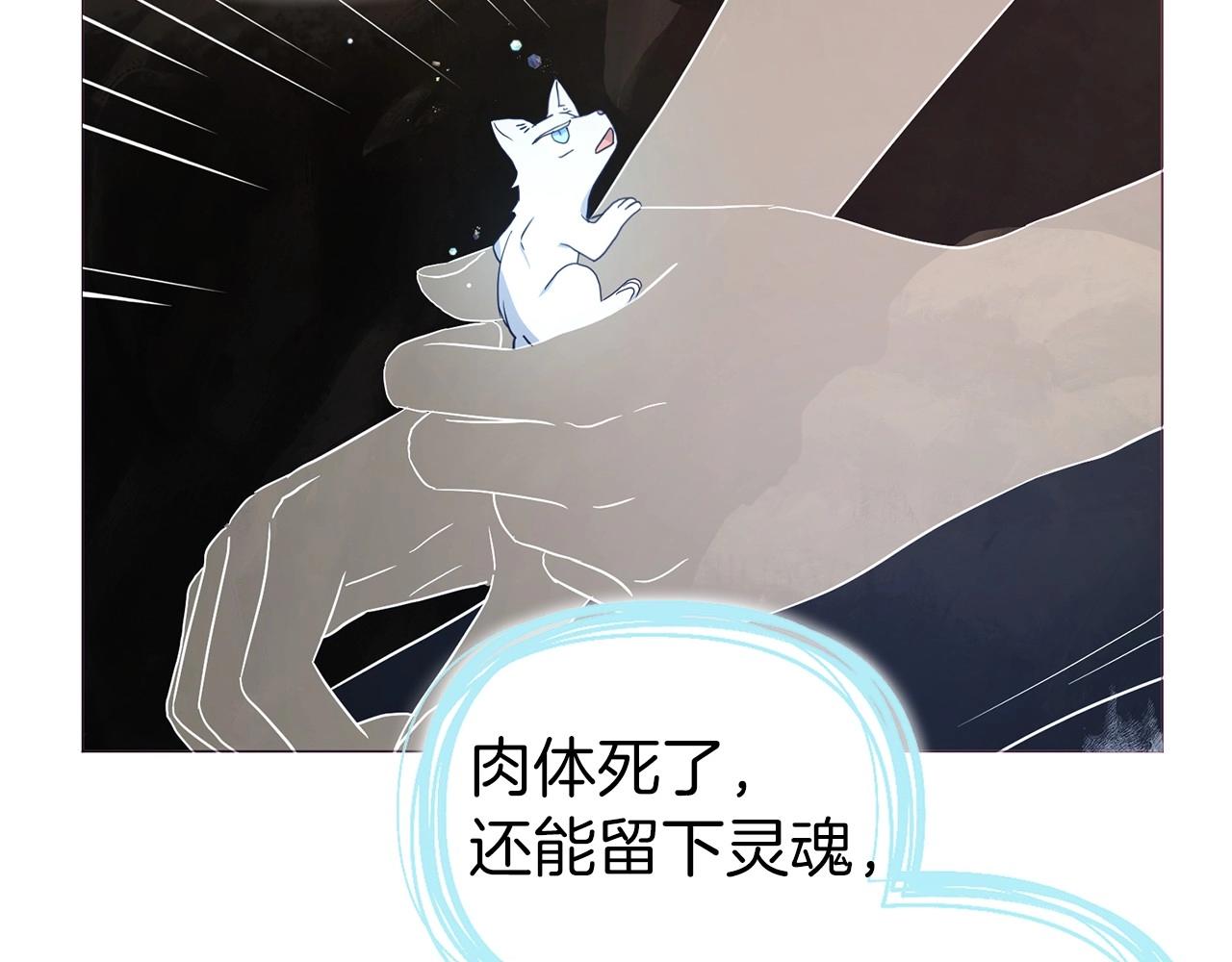 第 114 页