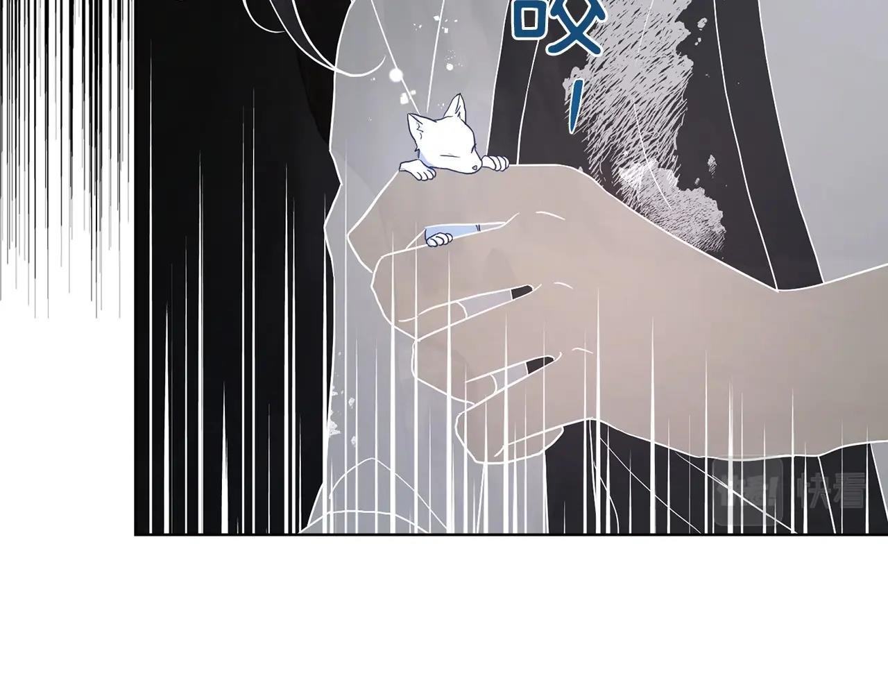 第 121 页