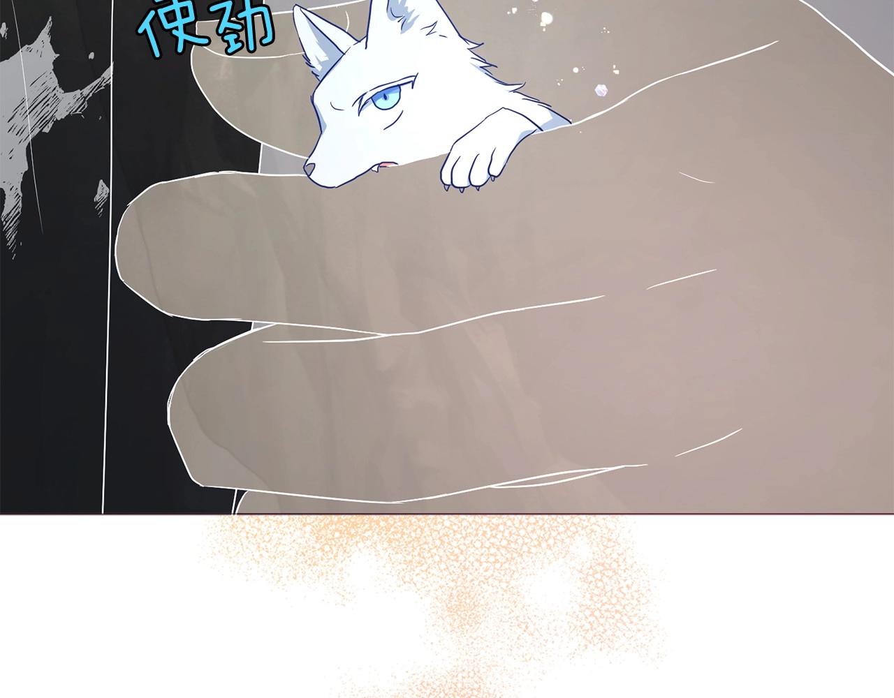 第 123 页